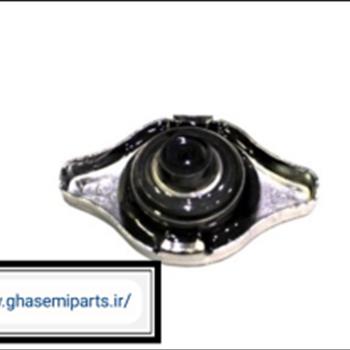 درب رادیاتور اریو